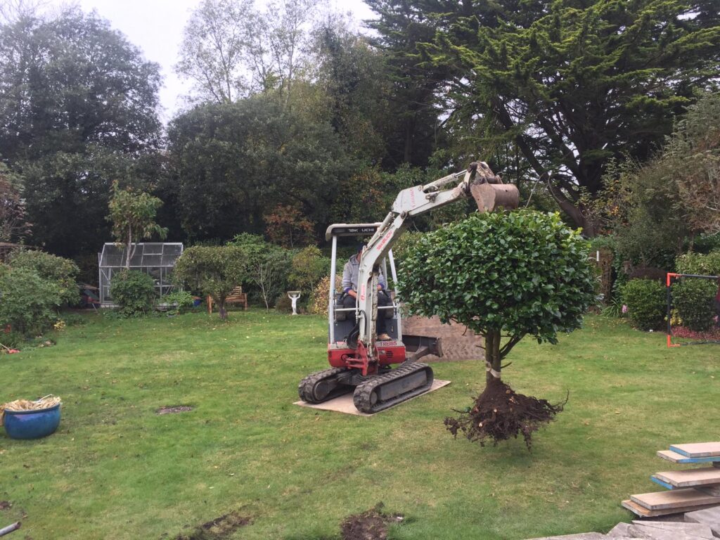 c72d518e 2ba9 4a03 be07 c702685ab1a6